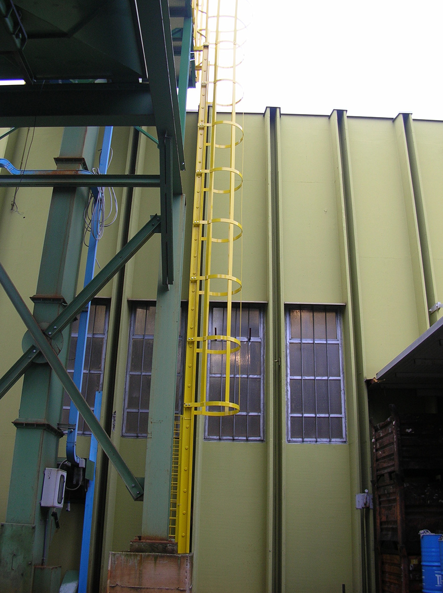 Carpenteria metallica