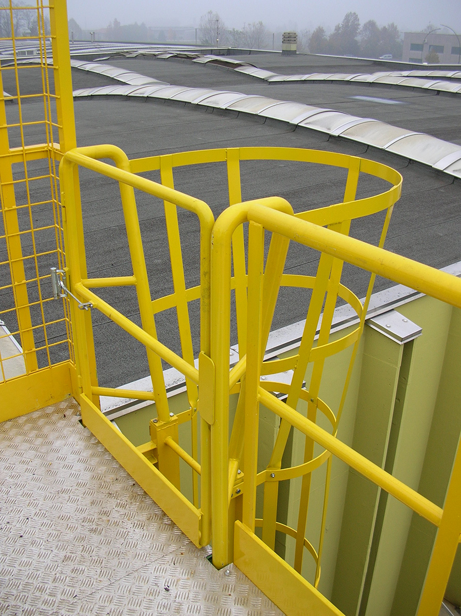 Carpenteria metallica