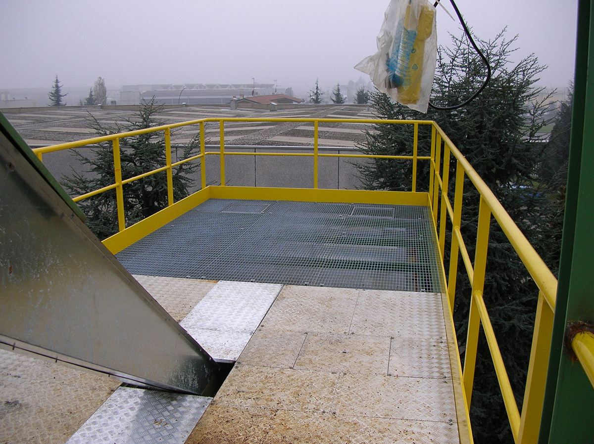 Carpenteria metallica